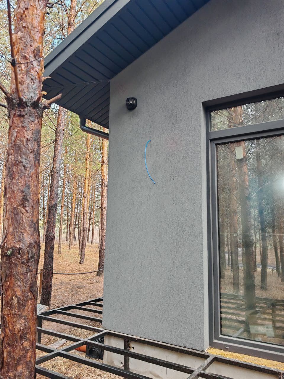 Панорамные окна и сосновый лес